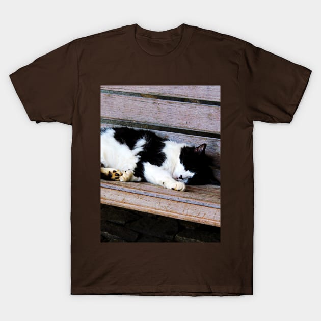 Cats - Cat Sleeping on Bench T-Shirt by SusanSavad